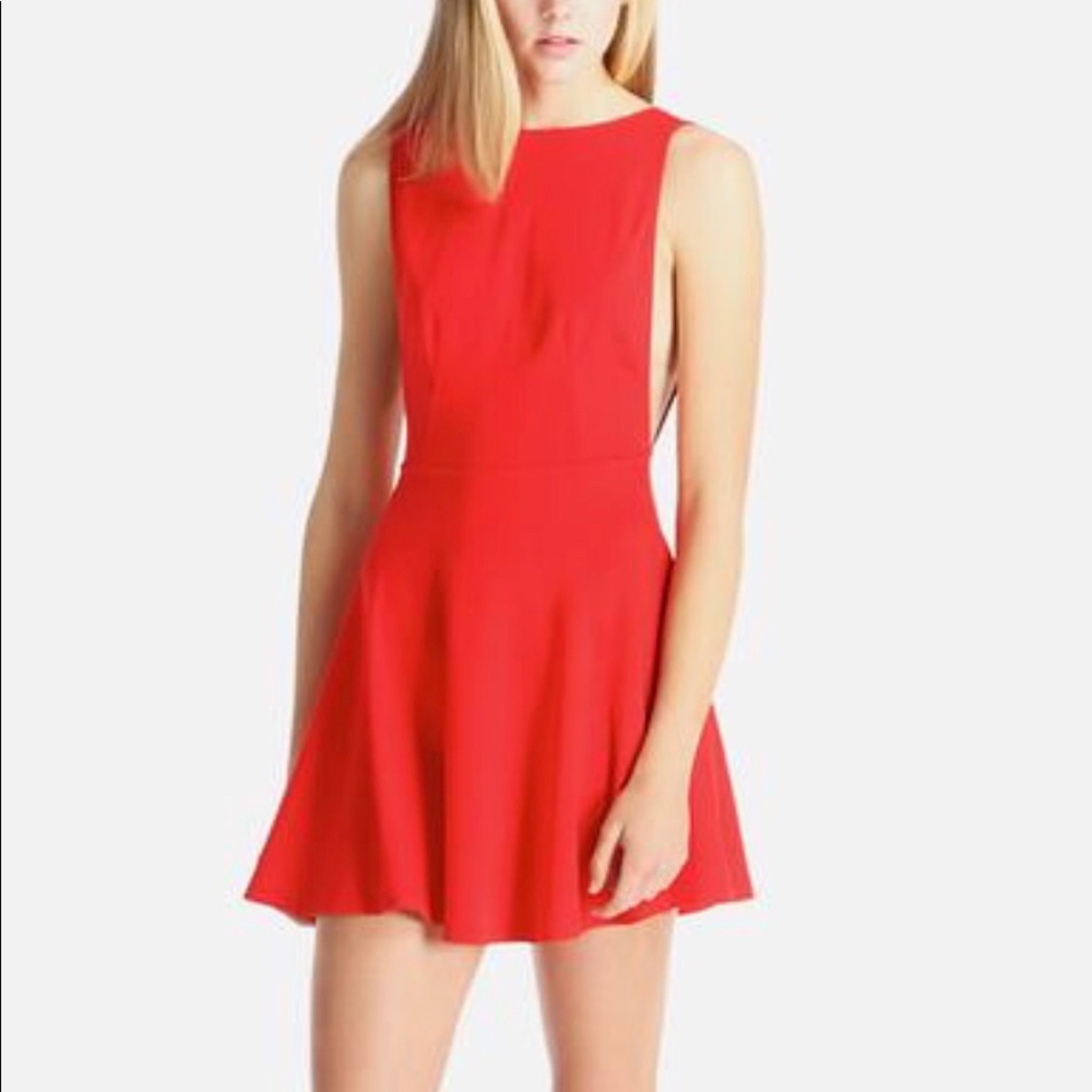 American Apparel Ponte Sleeveless Skater Dress